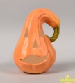6024a.jpg