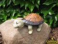 2354.jpg