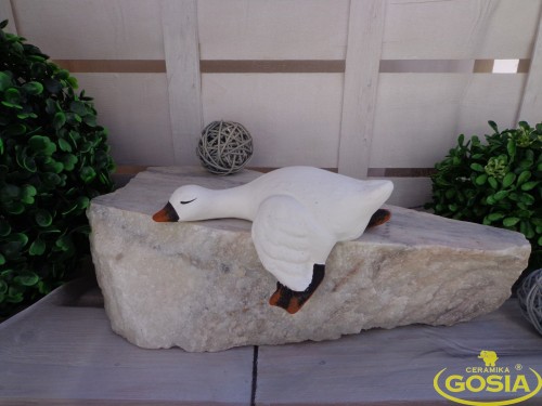 2472.jpg